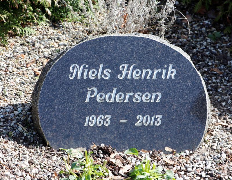 Niels Henrik Pedersen .JPG